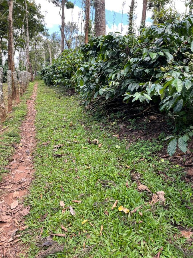 New Organic Home Stay Mudigere ภายนอก รูปภาพ