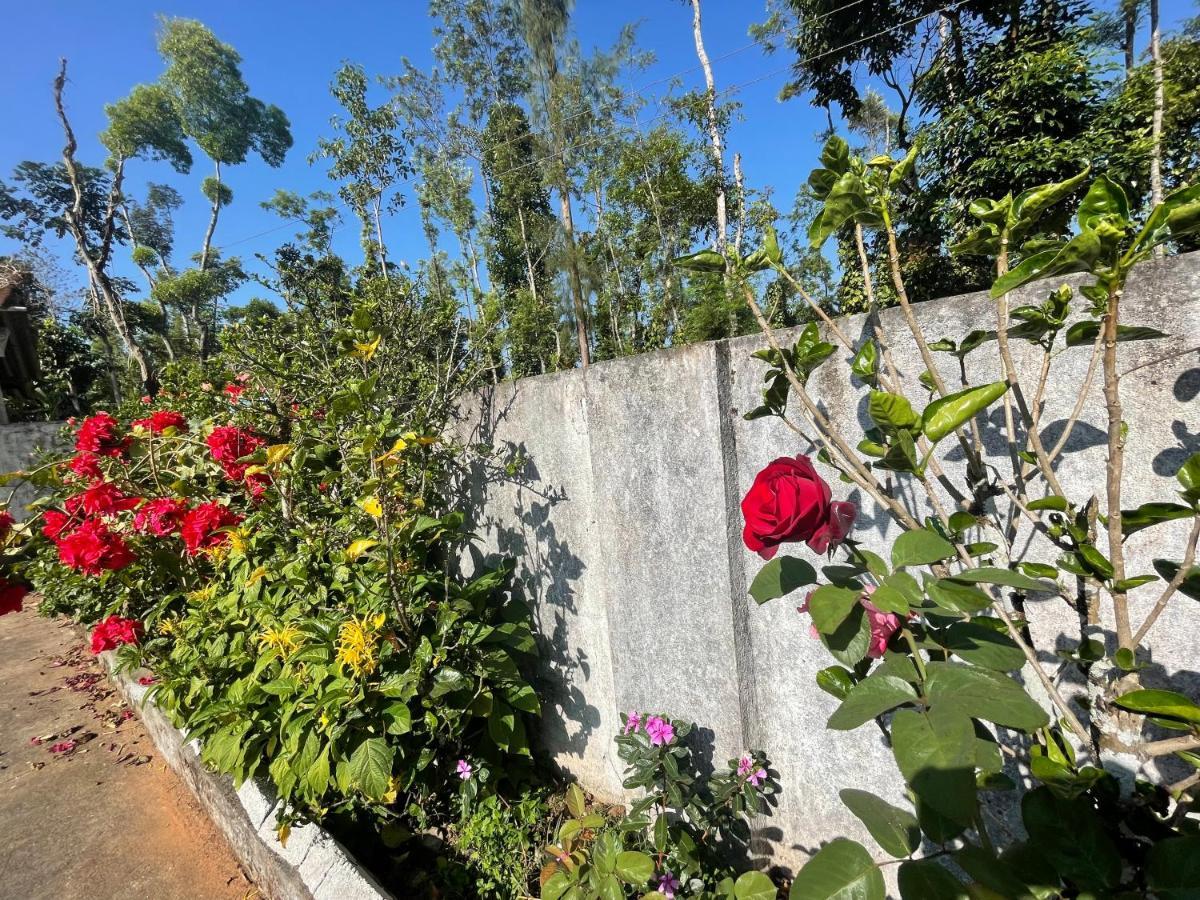 New Organic Home Stay Mudigere ภายนอก รูปภาพ