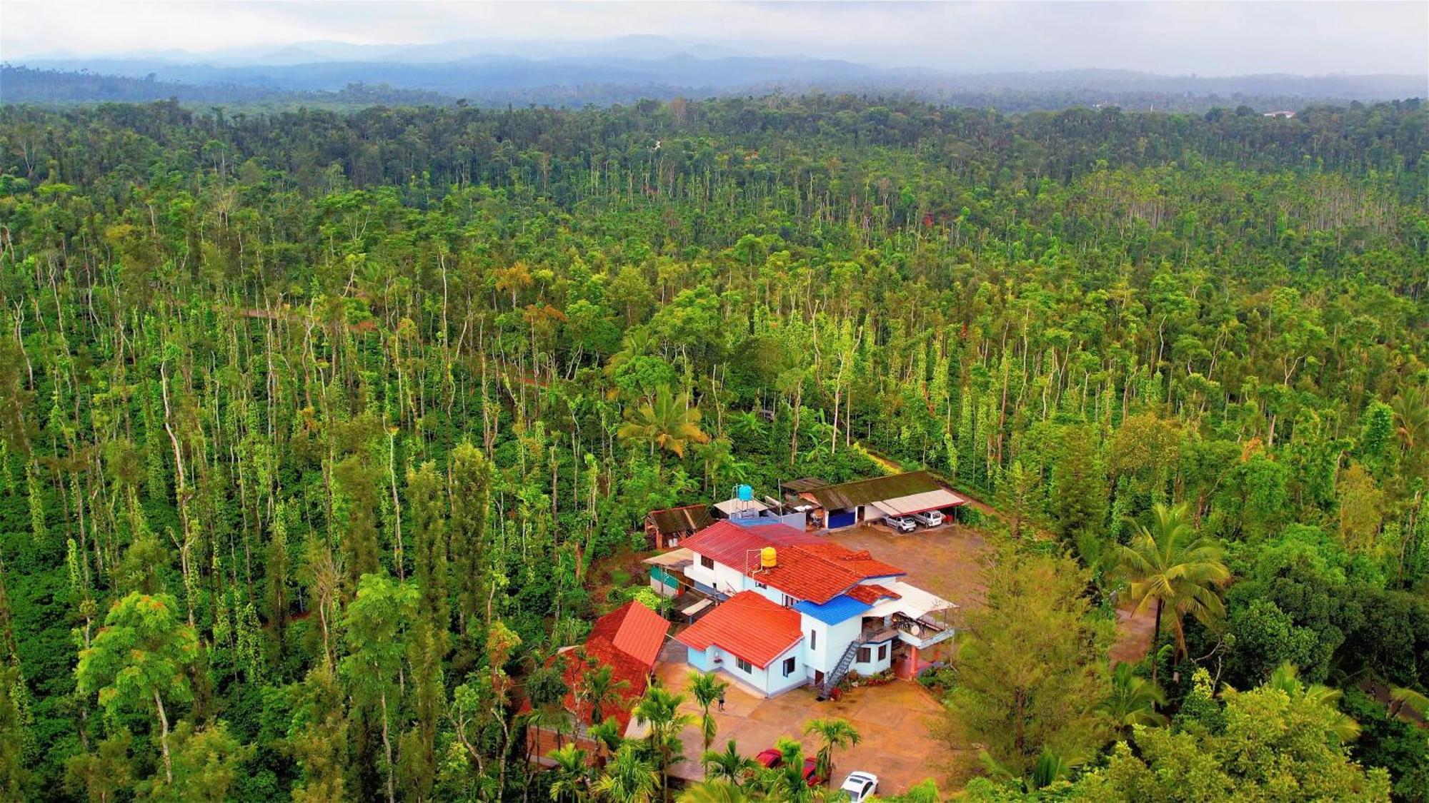 New Organic Home Stay Mudigere ภายนอก รูปภาพ